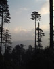 patnitop at dawn