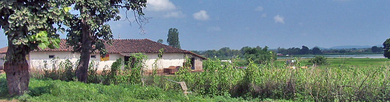 rural view in madhya pradesh